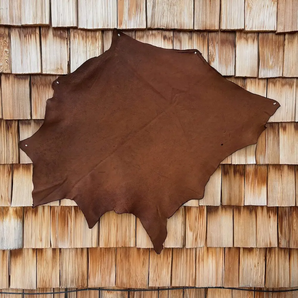 うらしま堂　the custom rawhide Raw Hides – Bill Worb Furs Inc.