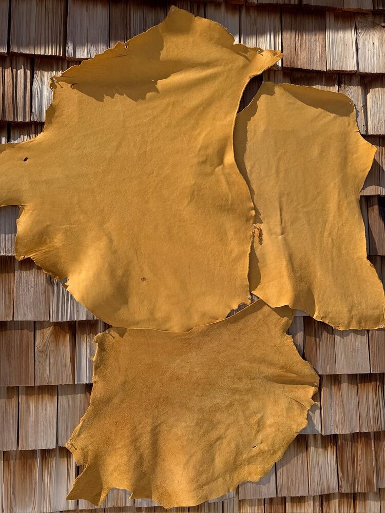 E85F74F1-1BE5-464D-A21B-1C926481832C_1_102_o