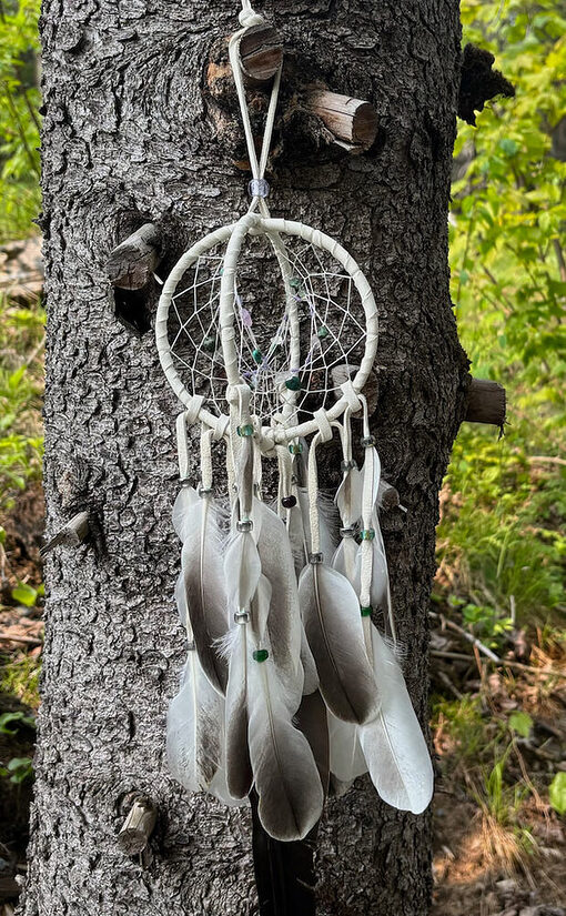 Dreamcatchers - Image 6